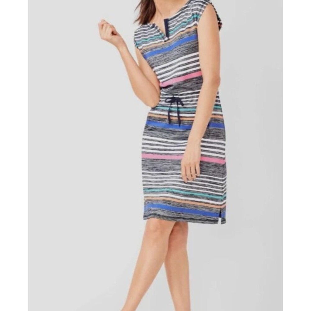 T by Talbots Shift Dress Size S Stripe Blue Pink French Terry Tie
